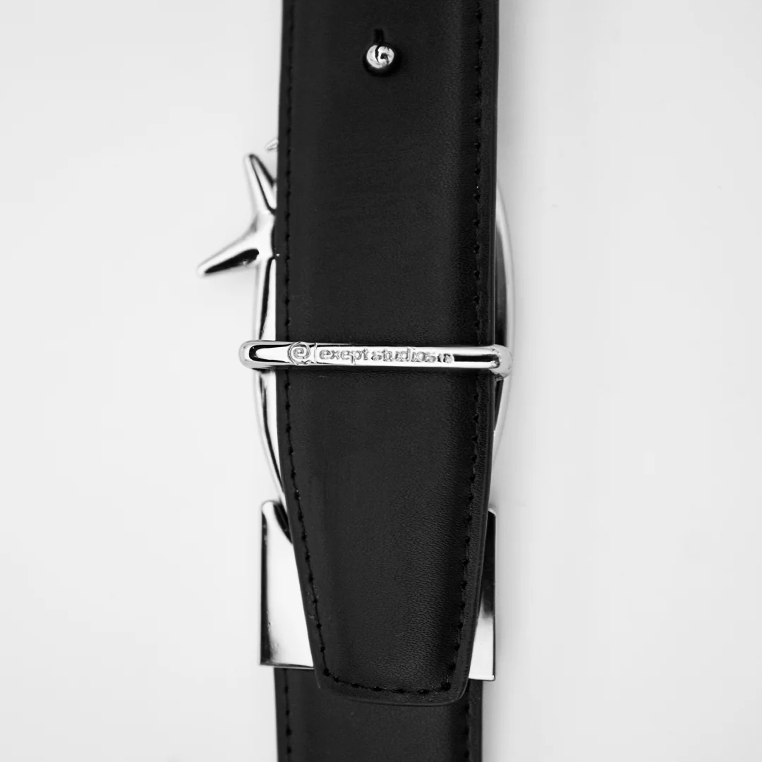 E-Belt - Image 4